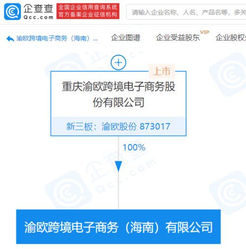 渝欧股份拓展业务版图，新设跨境电子商务公司涉足域名注册与信息服务